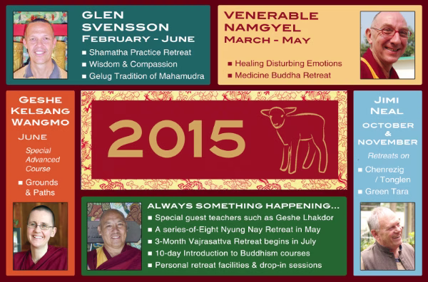 What's on in 2015?