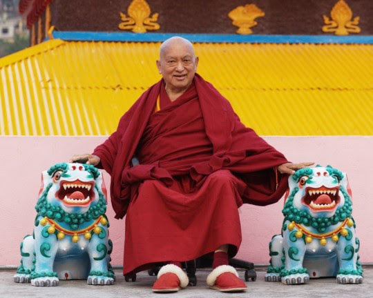 Lama Zopa Rinpoche in Tso Pema, India, February 2016. Photo by Ven. Losang Sherab.