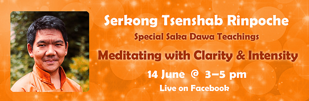 Happy Saka Dawa Celebrations with Serkong Tsenshab Rinpoche!