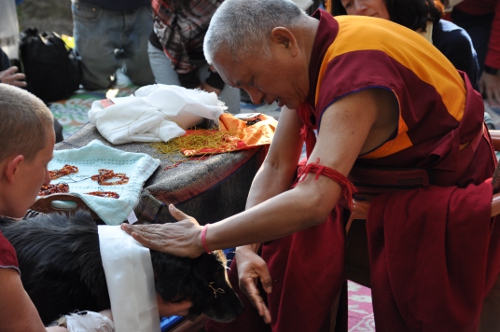 Lama_Zopa_Rinpoche_blesses_Kalu_JangsemSMALL